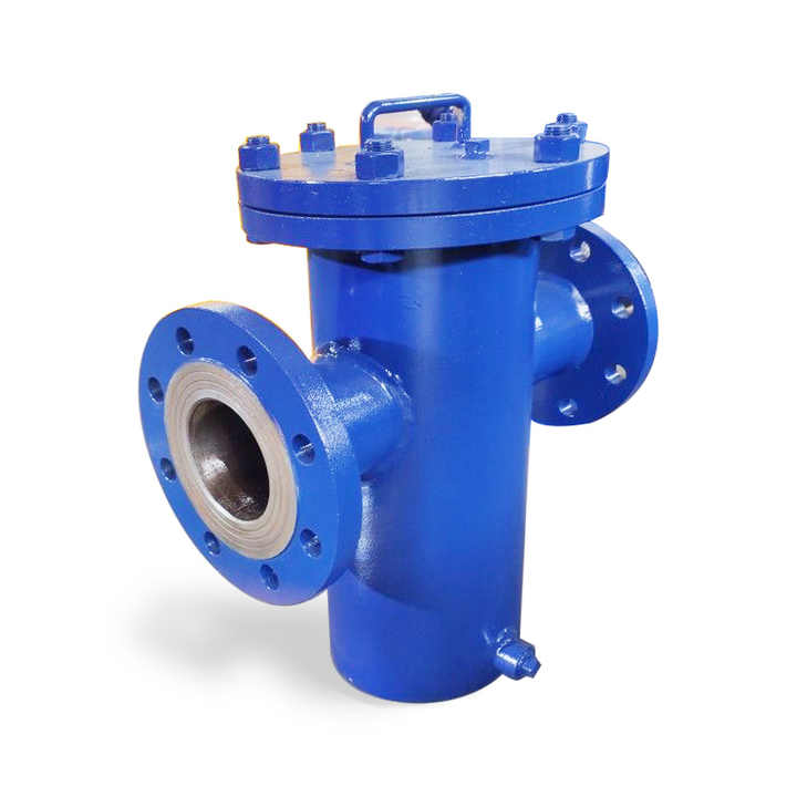 Dn 40/50/80 Flange Strainer Through Flat Bottom Pipeline Filter Basket Filter Net